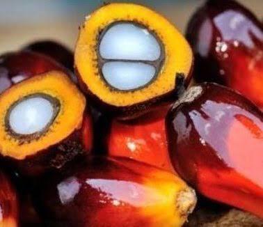 Pure fresh 25 litres Palm Oil for sale