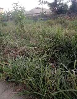 Land and house for sale in Port Harcourt