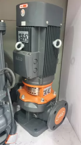 Leo brand vertical in-line pump