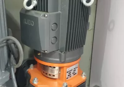 Leo brand vertical in-line pump
