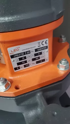 Leo brand vertical in-line pump