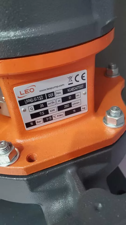 Leo brand vertical in-line pump