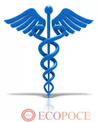 School of Nursing